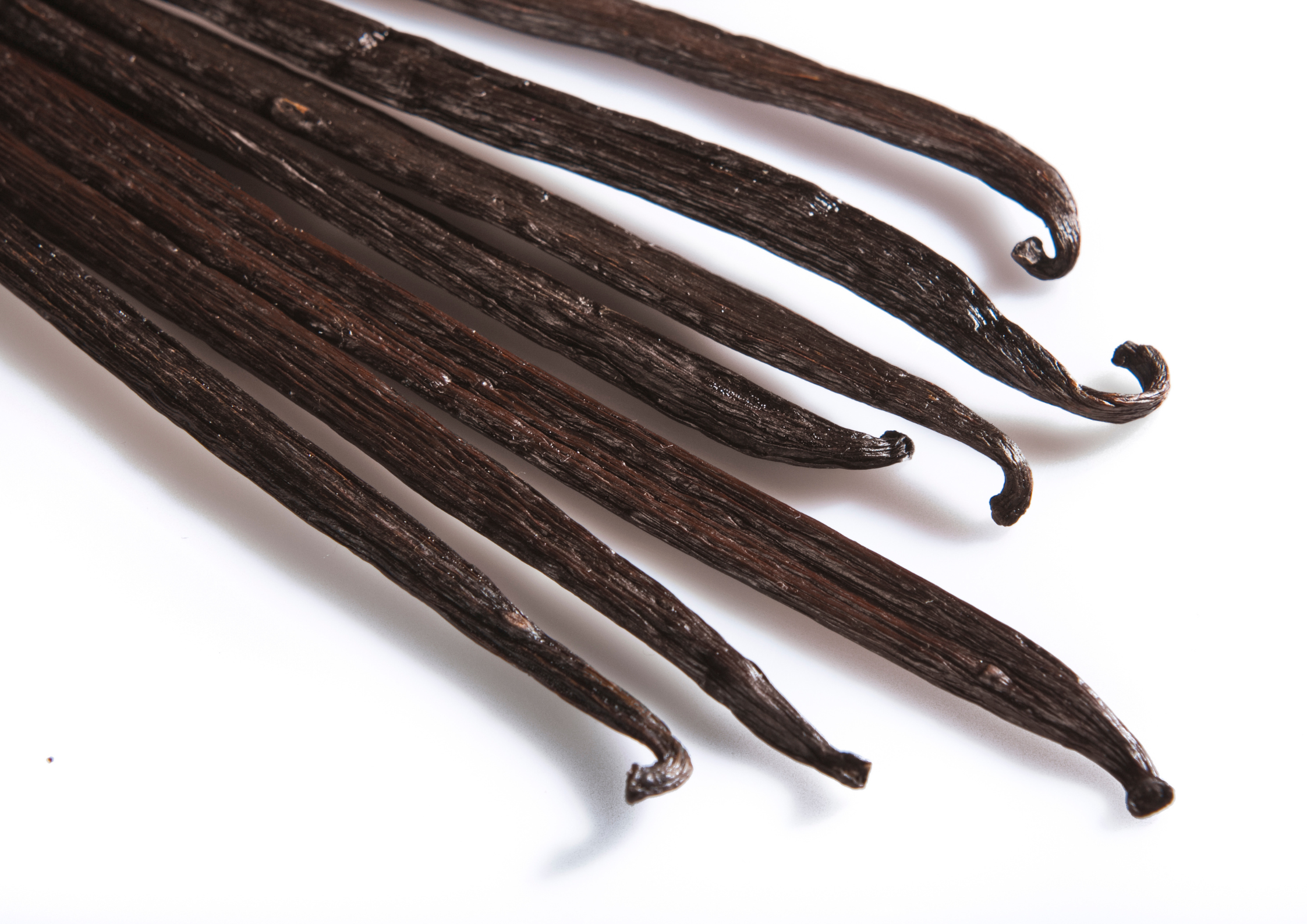 バニラビーンズ